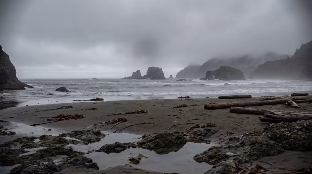 Pacific Northwest coastline with sea stacks and rocky shore, overcast January afternoon
